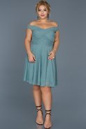 Short Firuze Plus Size Evening Dress ABK008