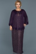 Long Purple Plus Size Evening Dress ABU511
