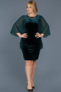 Short Emerald Green Plus Size Velvet Evening Dress ABK304