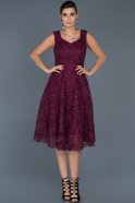Plum Invitation Dress ABK317