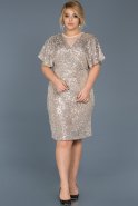 Short Beige Plus Size Evening Dress ABK362
