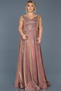 Long Rose Colored Plus Size Evening Dress ABU592