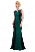 Long Green-Black Evening Dress C3109