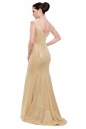 Long Gold Evening Dress C3189