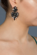 Anthracite Earring DY012
