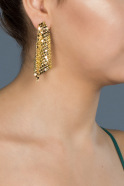 Gold Earring DY016