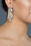 Silver Earring DY016