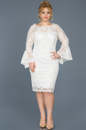 Short White Laced Plus Size Evening Dress ABK383