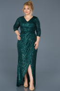 Long Emerald Green Plus Size Evening Dress ABU615