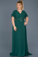Long Emerald Green Plus Size Evening Dress ABU535