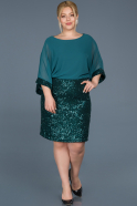Short Emerald Green Plus Size Evening Dress ABK489