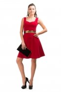 Red Night Dress A6846