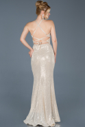 Long Mink Mermaid Prom Dress ABU761