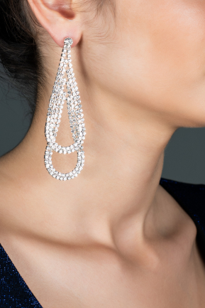 Swarovski Earring DY364