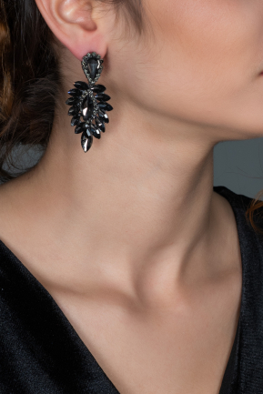 Anthracite Earring DY370