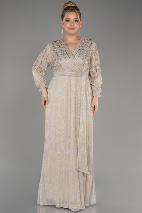 Mink Long Sleeve Glittery Plus Size Evening Dress ABU3988