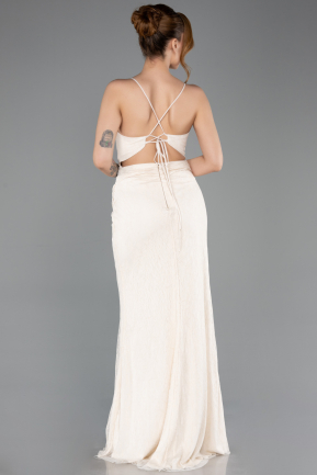 Long Beige Dantelle Prom Gown ABU5719