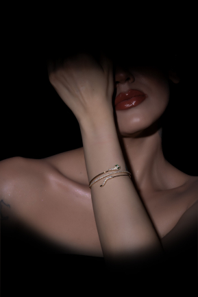 Gold Bracelet DF1011