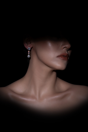 Silver Earring DF1020