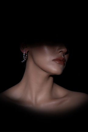 Silver Earring DF1051