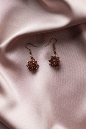 Burgundy Earring UKP1200