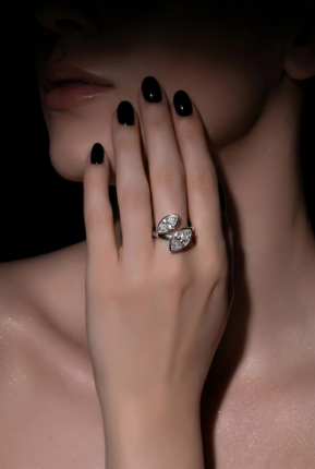 Silver Ring BT1168