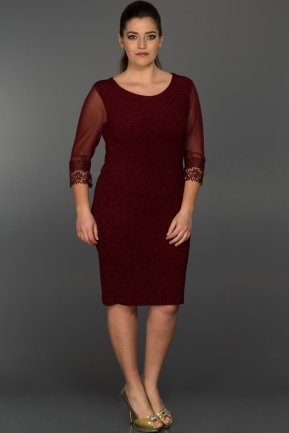 Short Burgundy Plus Size Evening Dress ABK1609
