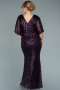 Long Dark Purple Plus Size Evening Dress ABU2309