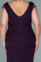 Long Purple Plus Size Evening Dress ABU2438