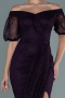 Purple Long Dantelle Evening Dress ABU2427