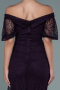 Purple Long Dantelle Evening Dress ABU2427
