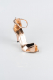 Rose Mirror Evening Shoe ABA1452