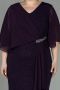 Long Purple Plus Size Evening Dress ABU2979