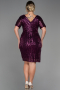 Plum Short Plus Size Evening Dress ABK686