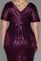 Plum Short Plus Size Evening Dress ABK686