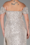 Long Mink Scaly Plus Size Evening Dress ABU2973