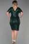 Emerald Green Short Plus Size Evening Dress ABK686