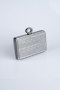 Platinum Laser Cut Night Bag SH830