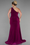 Plum Long Plus Size Evening Dress ABU3132