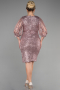 Short Powder Color Plus Size Invitation Dress ABK1879