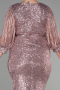 Short Powder Color Plus Size Invitation Dress ABK1879