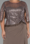Long Cappuccino Chiffon Plus Size Evening Dress ABU4075