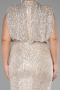Mink Long Scaly Plus Size Evening Dress ABU3115