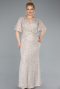 Beige Long Plus Size Evening Gown ABU4542
