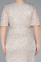 Beige Long Plus Size Evening Gown ABU4542