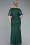 Emerald Green Long Plus Size Evening Gown ABU4542