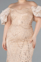 Long Gold Beaded Plus Size Engagement Dress ABU4788
