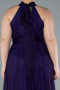 Long Dark Purple Plus Size Evening Dress ABU3253
