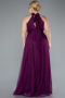 Long Plum Plus Size Evening Dress ABU3253