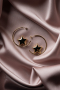 Gold Earring BJ1220